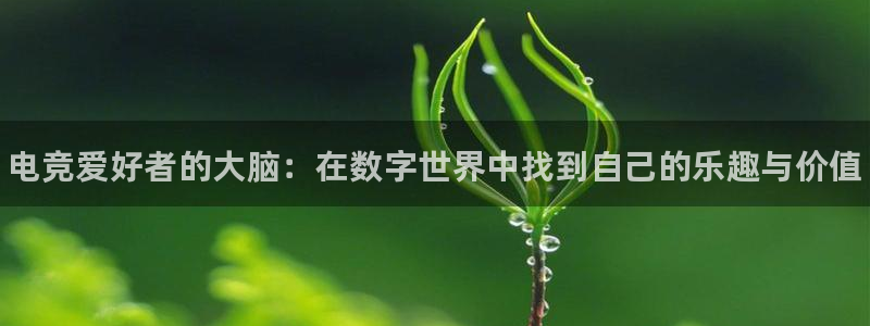 南宫电竞电竞怎么下载