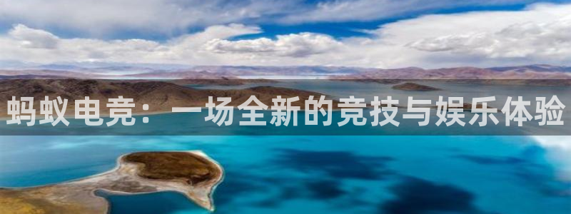 电竞南宫电竞：蚂蚁电竞：一场全新的竞技与