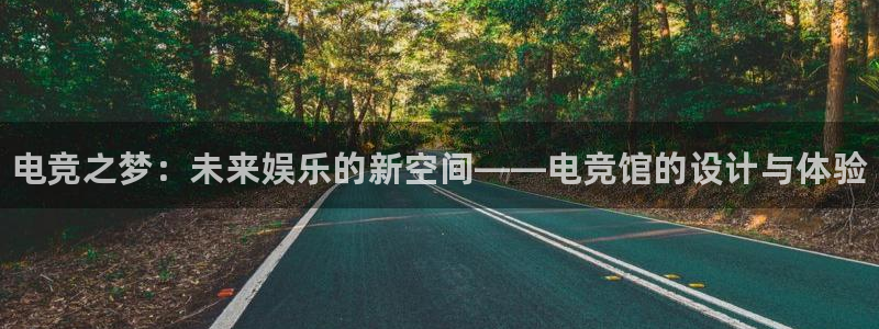 南宫电竞电竞官网注册：电竞之梦：未来娱乐