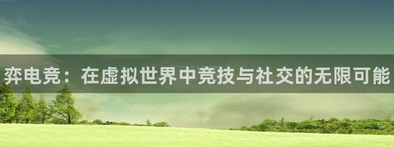 南宫电竞电竞官网介绍：弈电竞：在虚拟世界