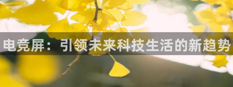 南宫电竞电竞网站是多少：电竞屏：引领未来