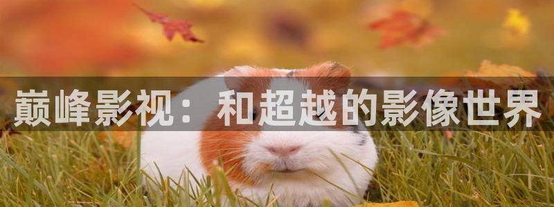 丝瓜直播 视频：巅峰影视：和超越的影像世界