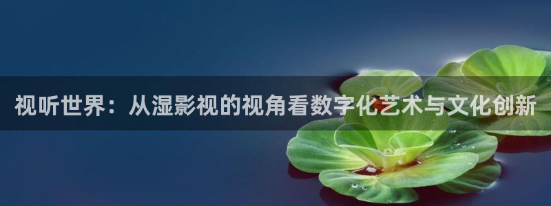 丝瓜视频99：视听世界：从湿影视的视角看数字化艺术与文化创新
