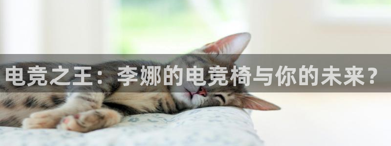 南宫电竞电竞官网最新下载绿色版：电竞之王